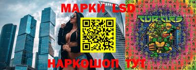 spice Гатчина