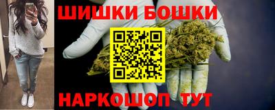 spice Гатчина