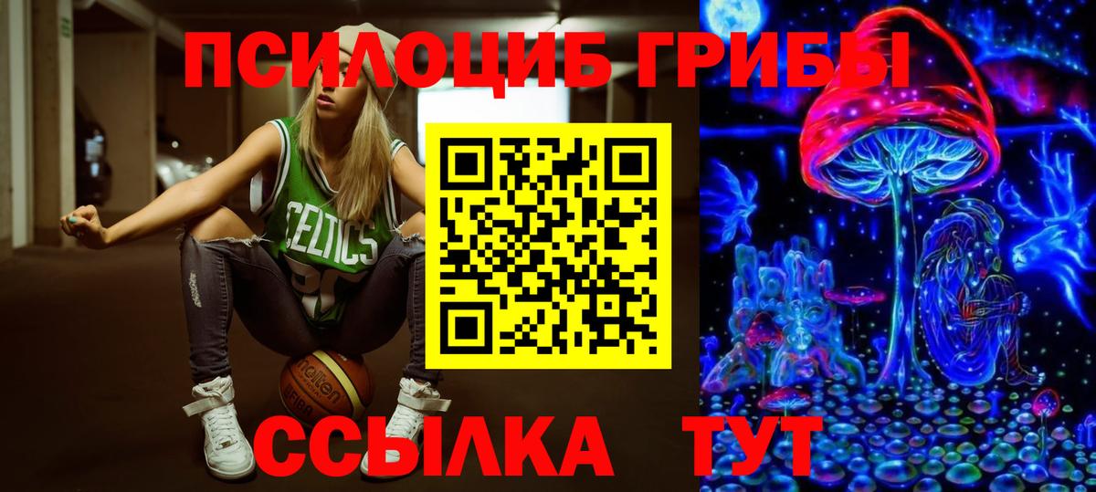 Вятские Поляны  Галлюциногенные грибы мицелий  Вход с VPN  Галлюциногенные грибы мухоморы 