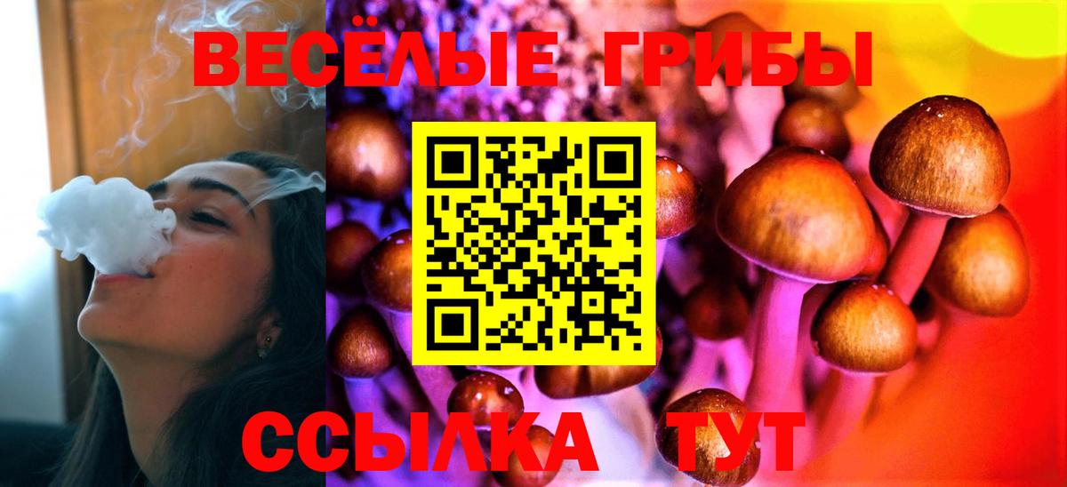 Псилоцибиновые грибы Psilocybe Вятские Поляны
